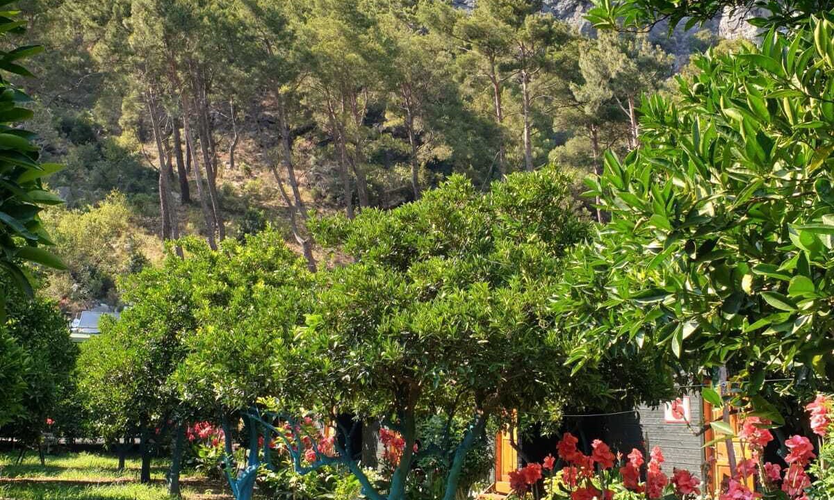 Photo of Outdoor in Olympos