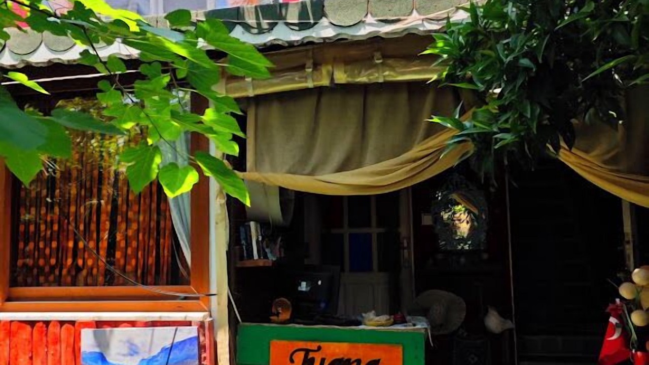 Photo of Outdoor in Side