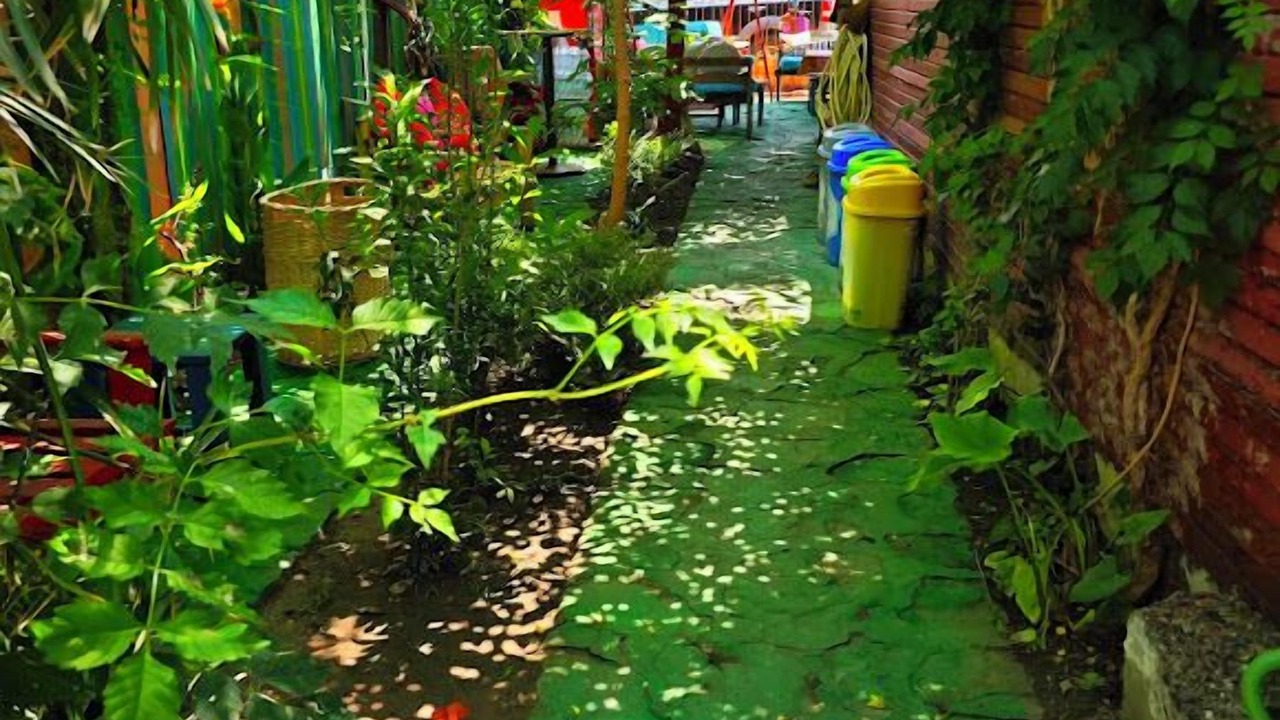 Photo of Outdoor in Side