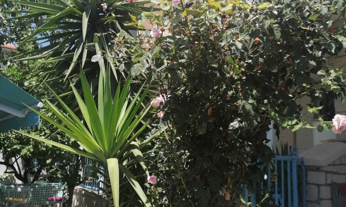 Photo of Outdoor in Hacımemis