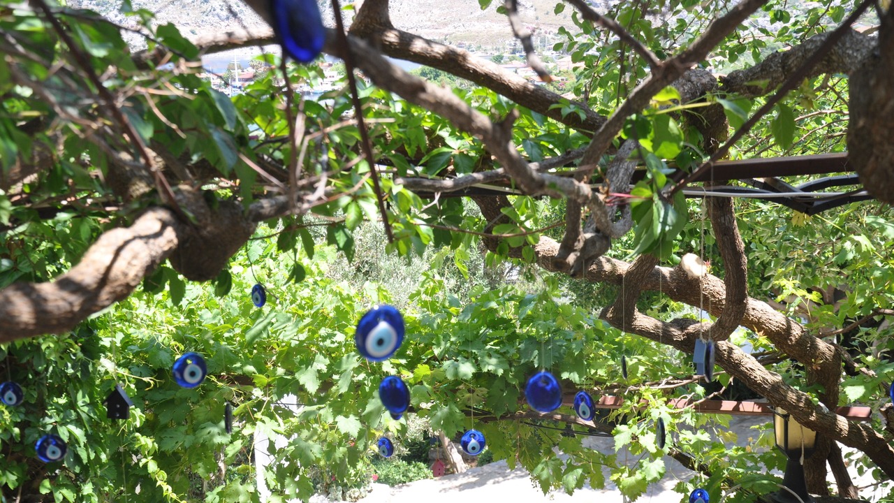Photo of Outdoor in Selimiye