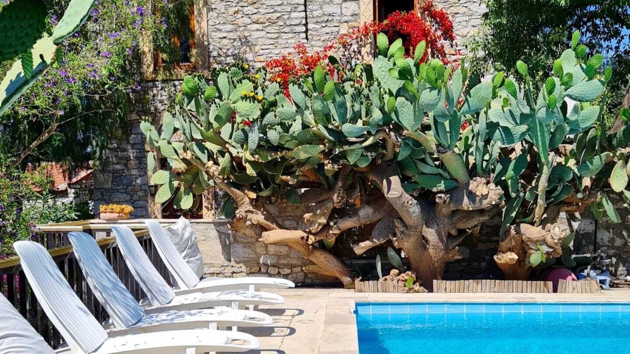 Photo of Outdoor in Old Datca