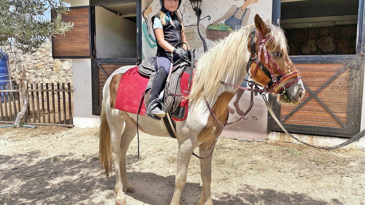 Photo of Others in Urla