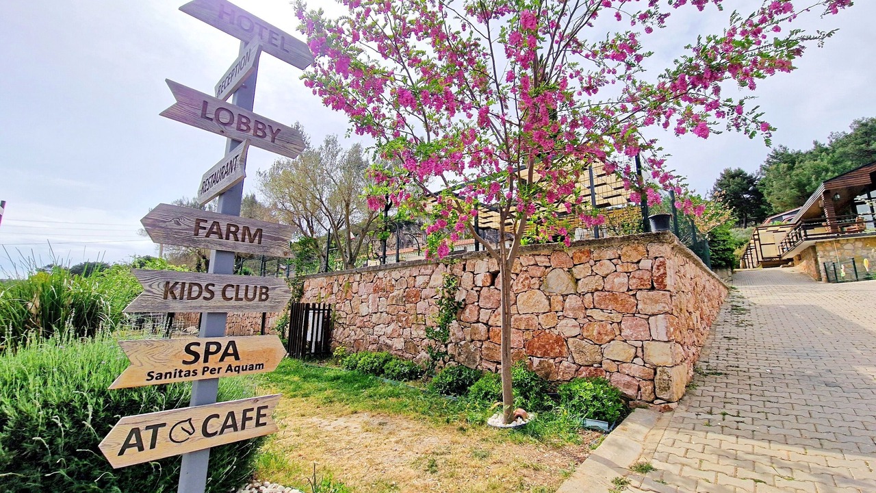 Photo of Outdoor in Urla