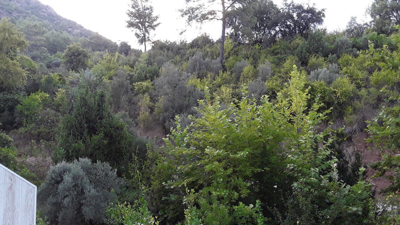 Photo of Others in Kumluca
