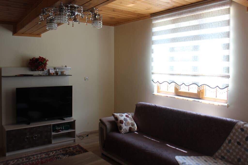 Photo of Livingroom in Uzungol