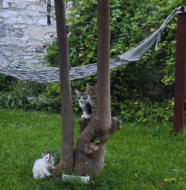 Photo of Outdoor in Kusadasi City Centre