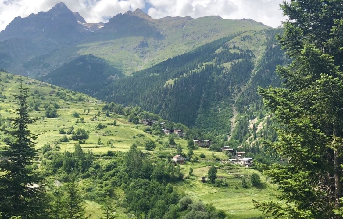 Photo of Outdoor in Yusufeli