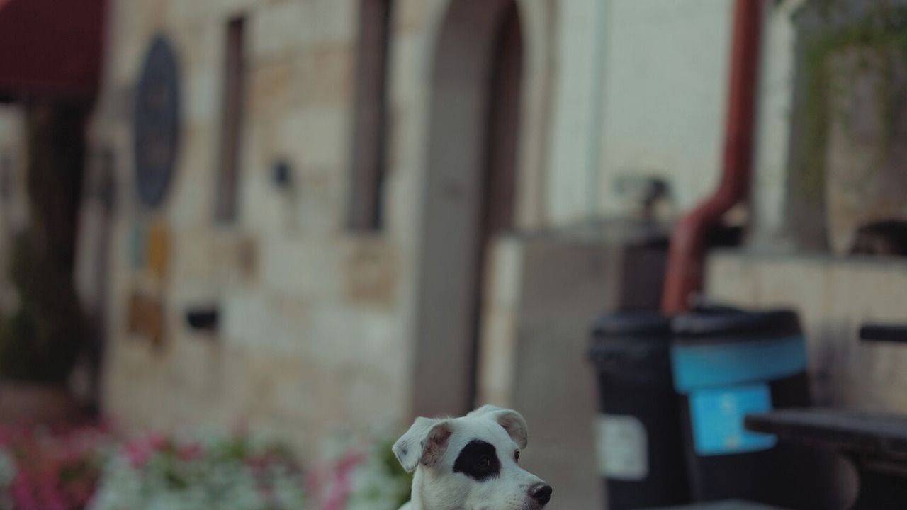 Photo of Outdoor in Goreme