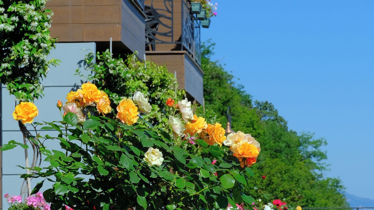 Photo of Patio Balcony in Trabzon