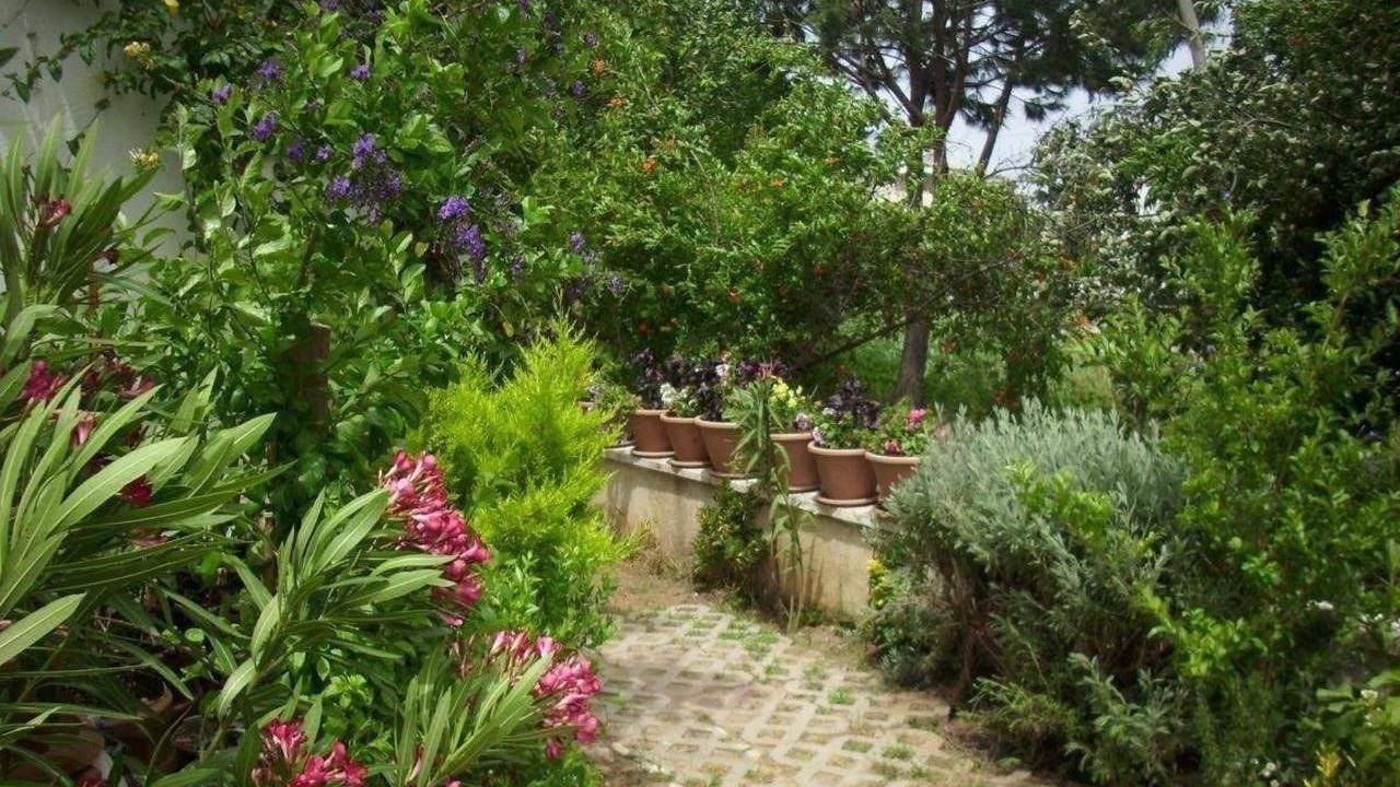 Photo of Outdoor in Guzelcamli