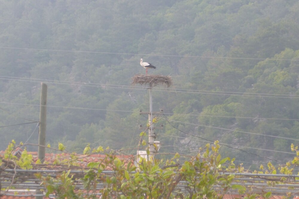 Photo of Patio Balcony in Dalyan City Center