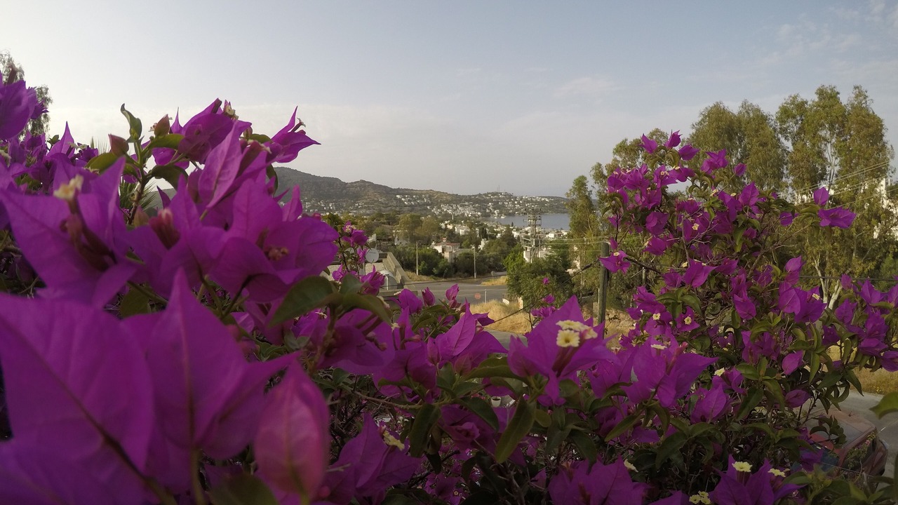 Photo of Outdoor in Golturkbuku