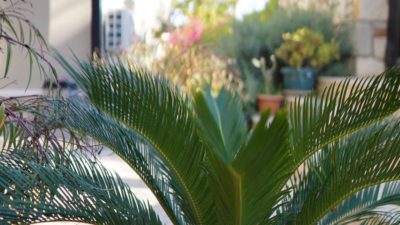 Photo of Outdoor in Urla