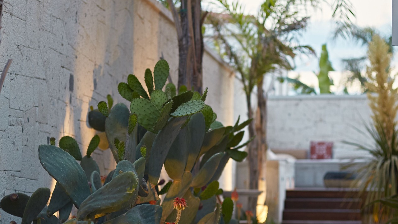 Photo of Outdoor in Hacımemis