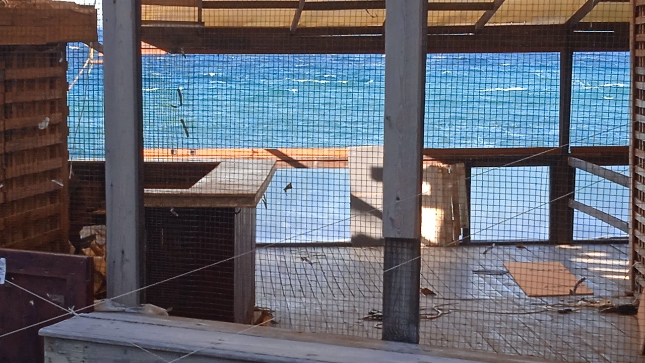 Photo of Bedroom in Bozcaada