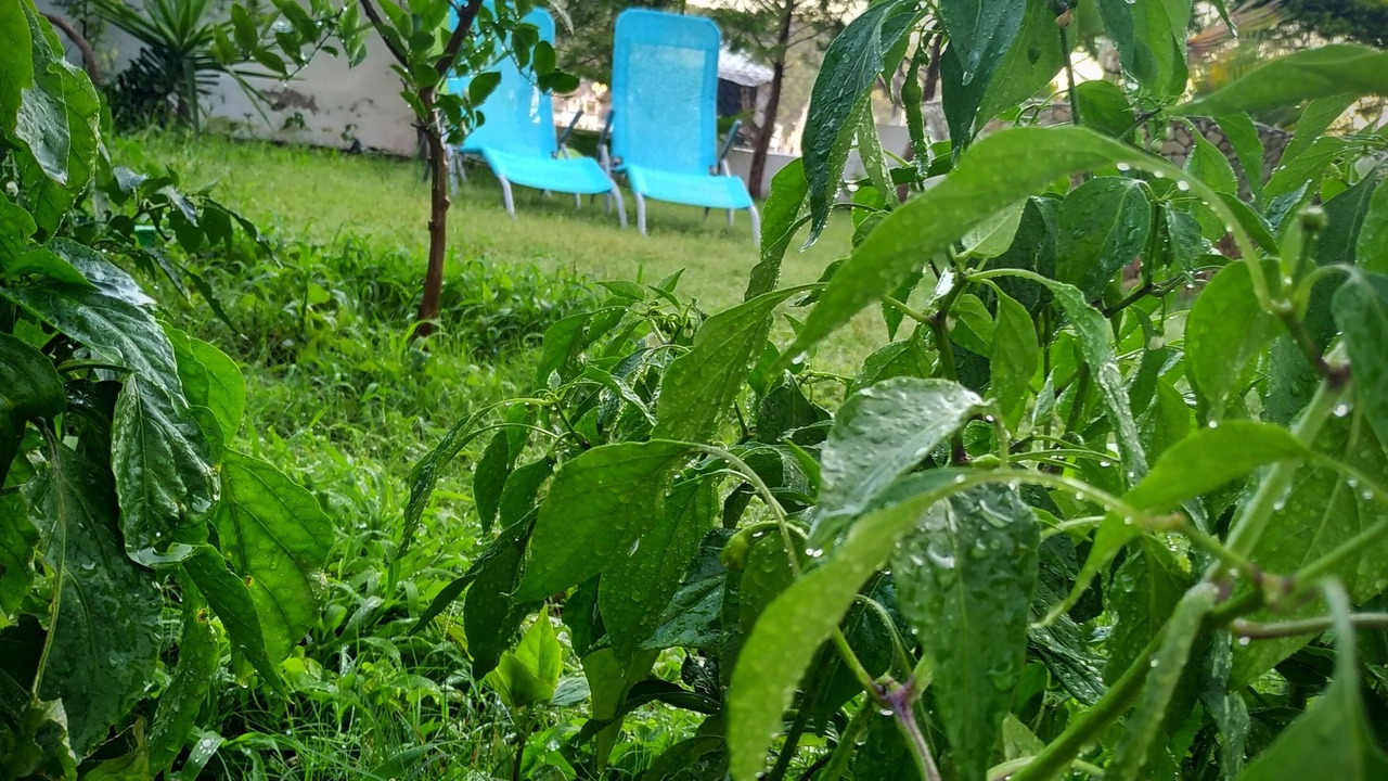 Photo of Outdoor in Cesme