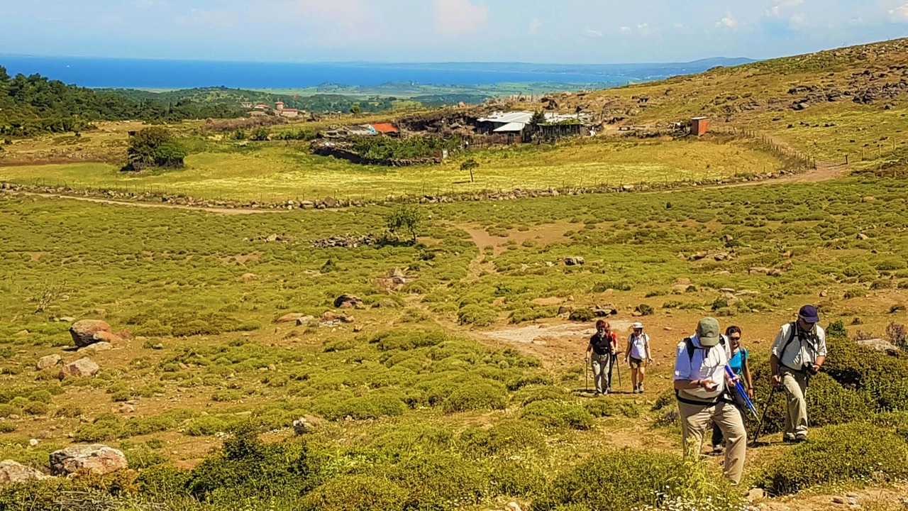 Photo of Outdoor in Koyunevi