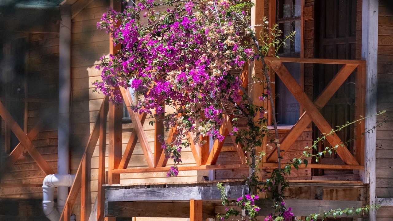 Photo of Bedroom in Kabak Valley