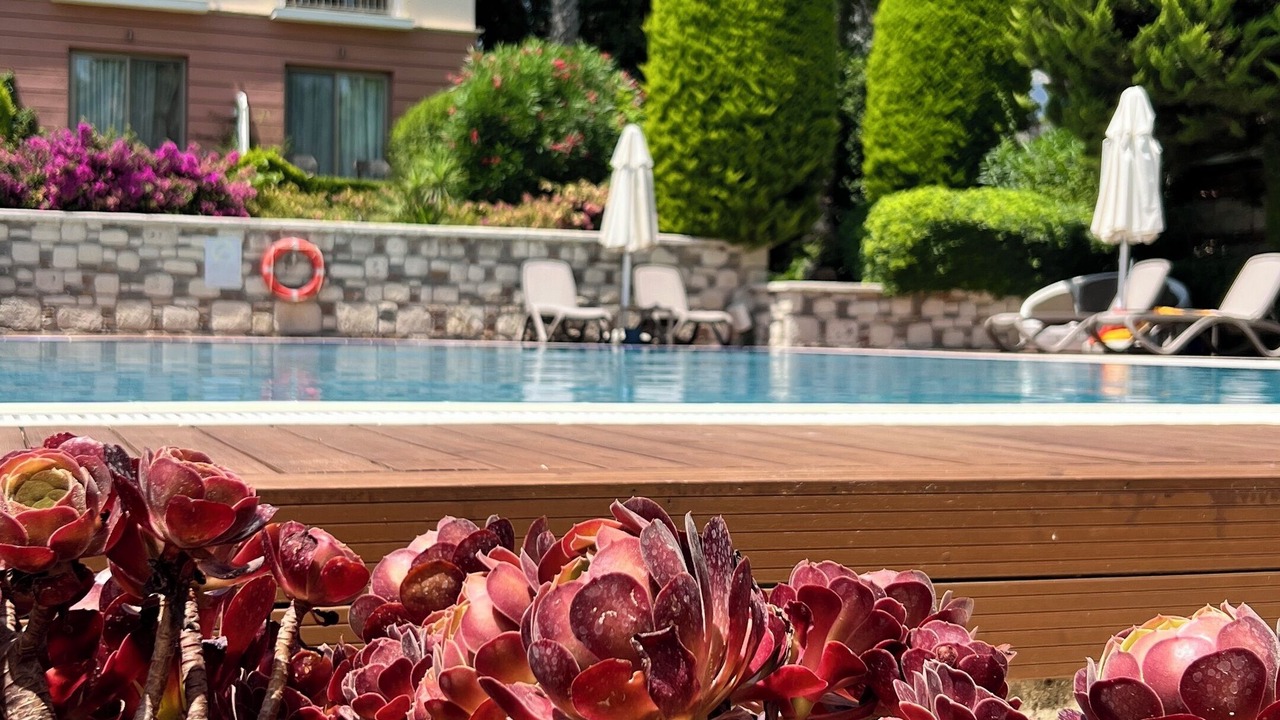 Photo of Outdoor in Alacati