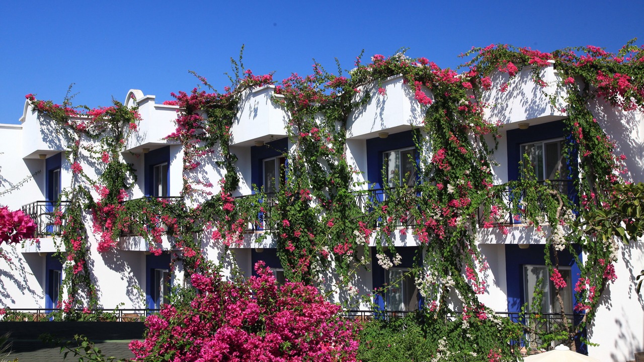Photo of Outdoor in Gundogan