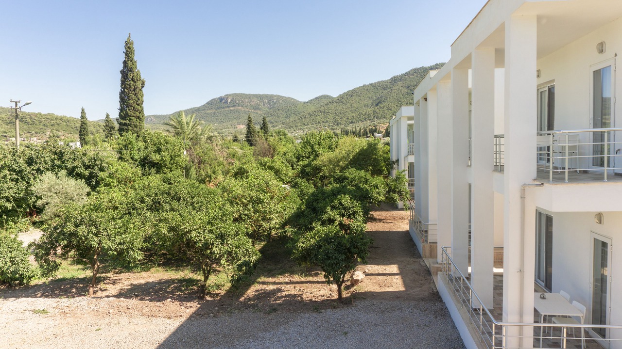 Photo of Outdoor in Golturkbuku