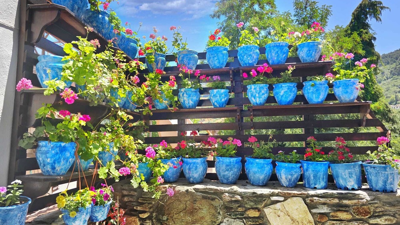 Photo of Outdoor in Sirince
