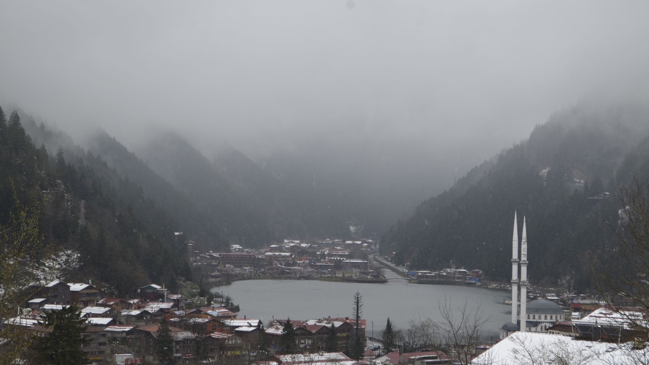 Photo of Others in Uzungol