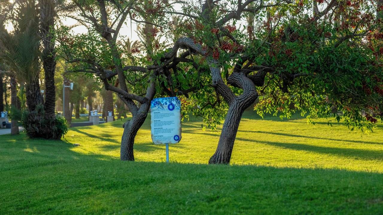 Photo of Outdoor in Titreyengol