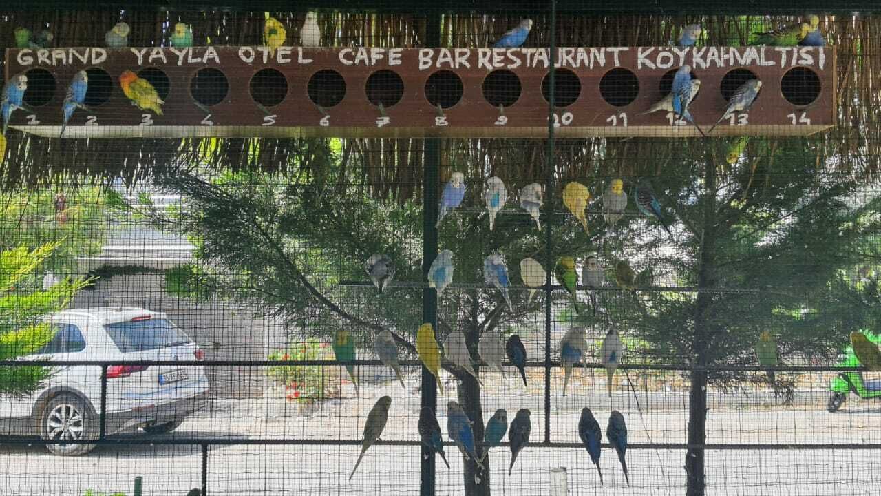 Photo of Outdoor in Cesme