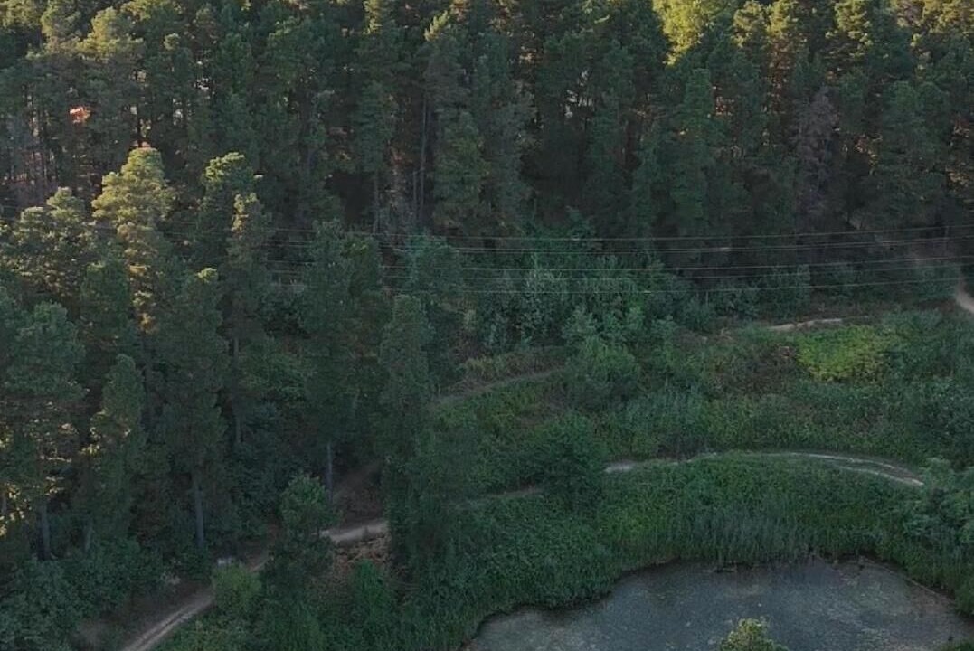 Photo of Outdoor in Sapanca