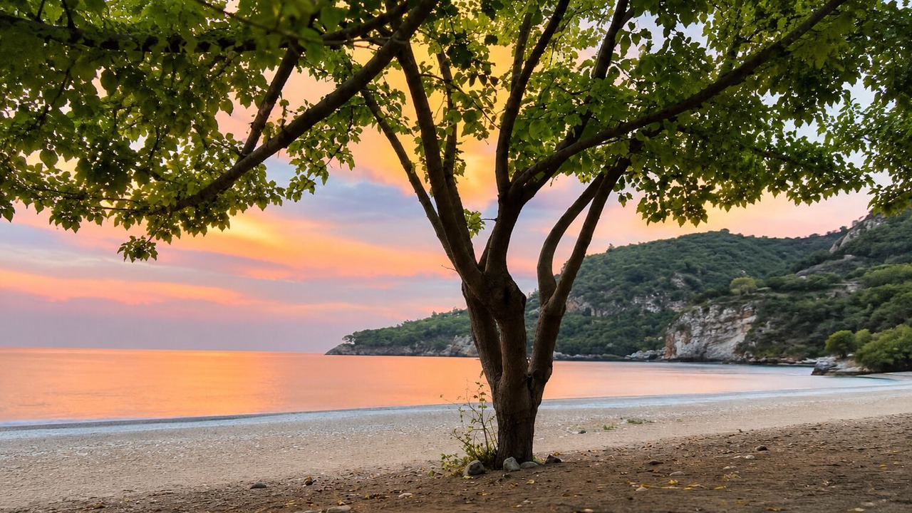 Photo of Outdoor in Cirali