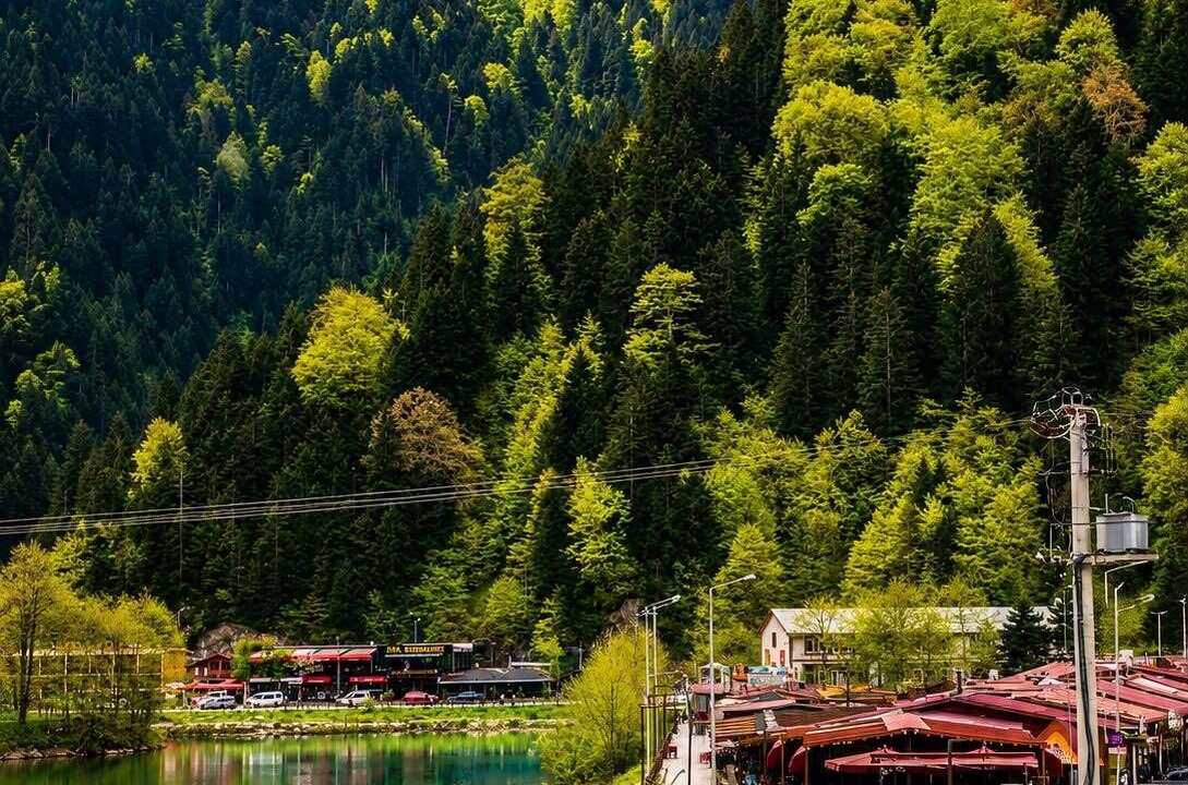 Photo of Outdoor in Uzungol