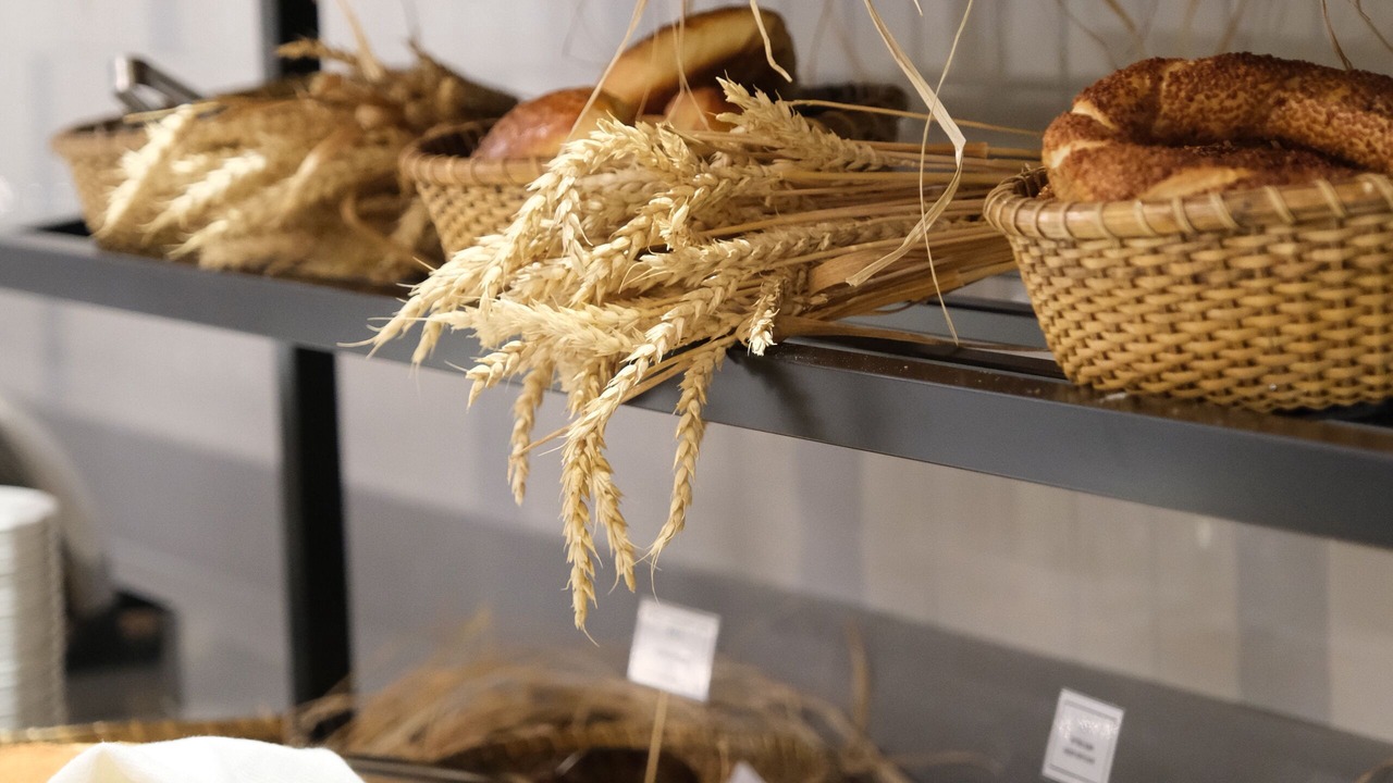 Photo of Others in Osmangazi