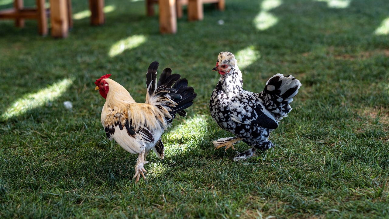 Photo of Outdoor in Urla