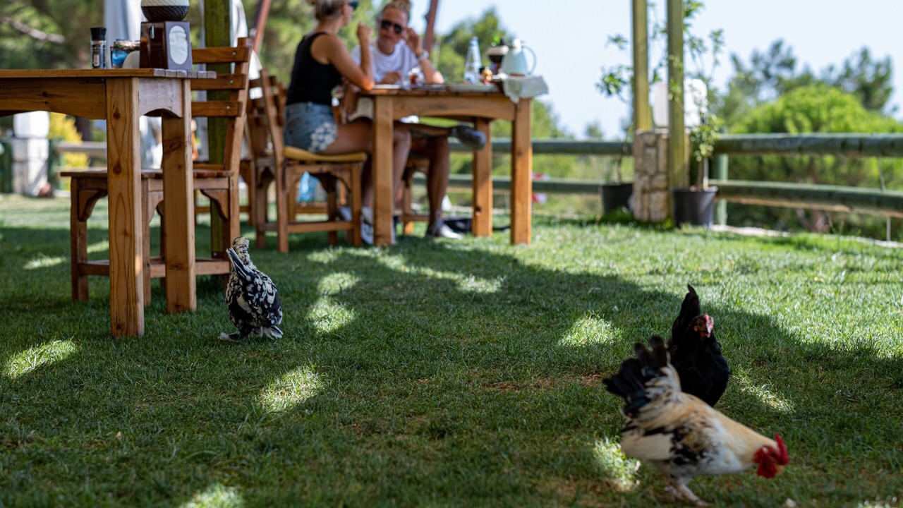 Photo of Outdoor in Urla