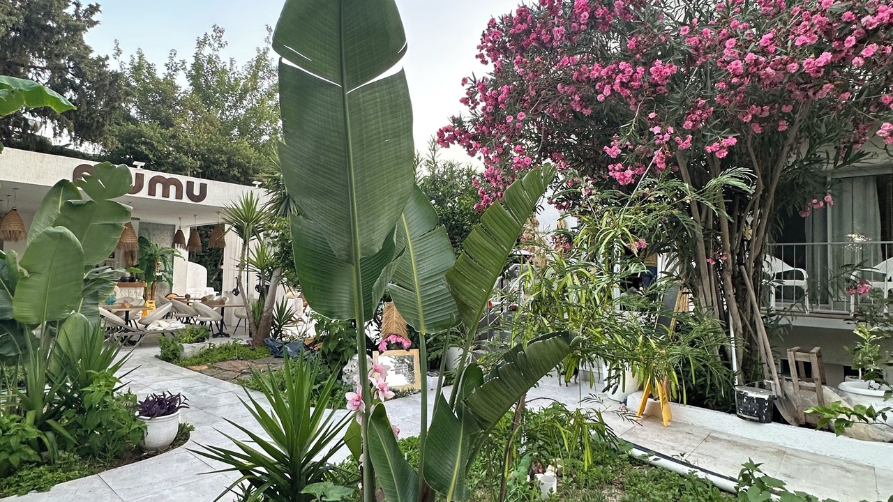 Photo of Outdoor in Bitez