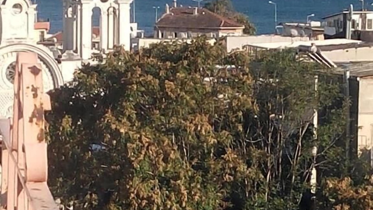Photo of Outdoor in Kumkapi
