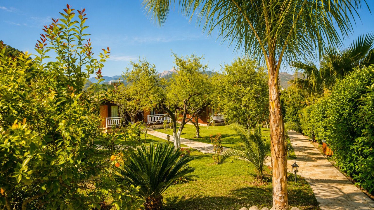 Photo of Outdoor in Cirali