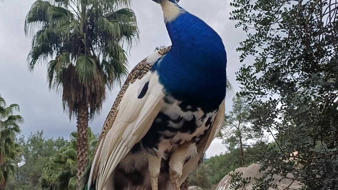 Photo of Outdoor in Olympos
