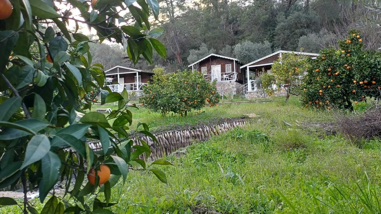 Photo of Outdoor in Olympos