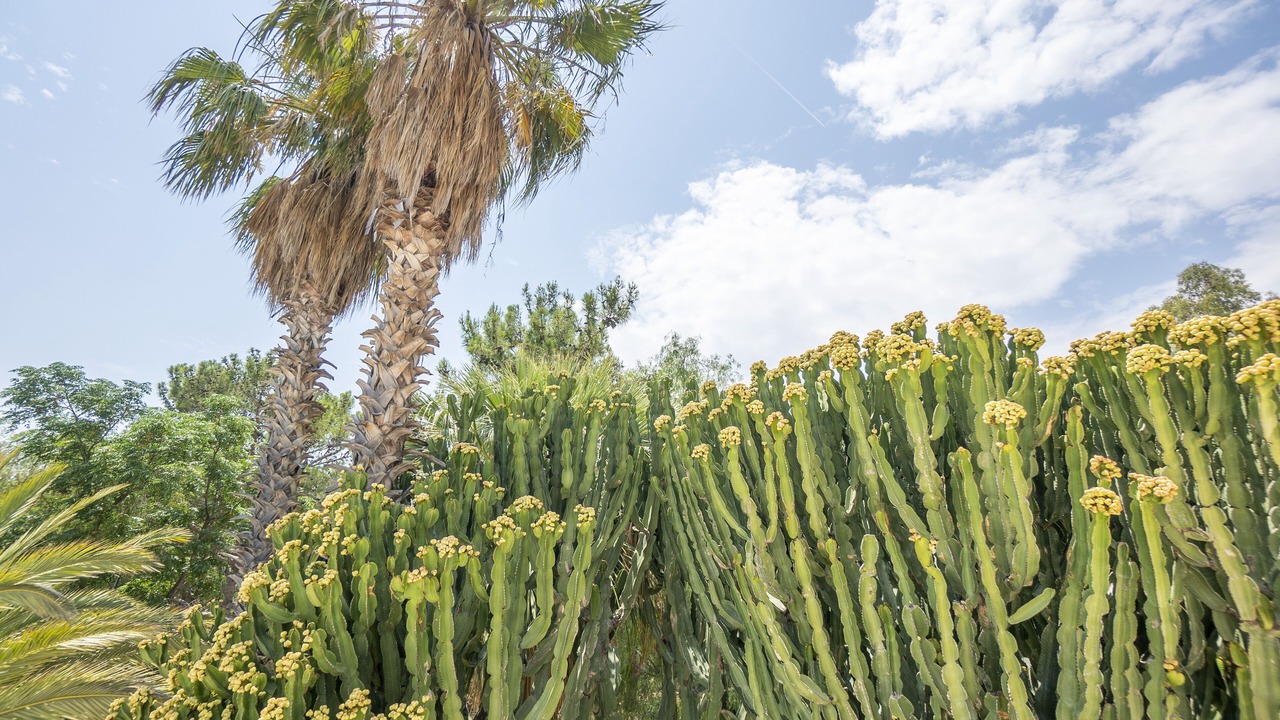 Photo of Outdoor in Patara