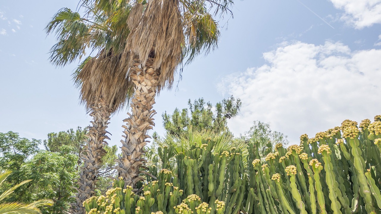 Photo of Outdoor in Patara