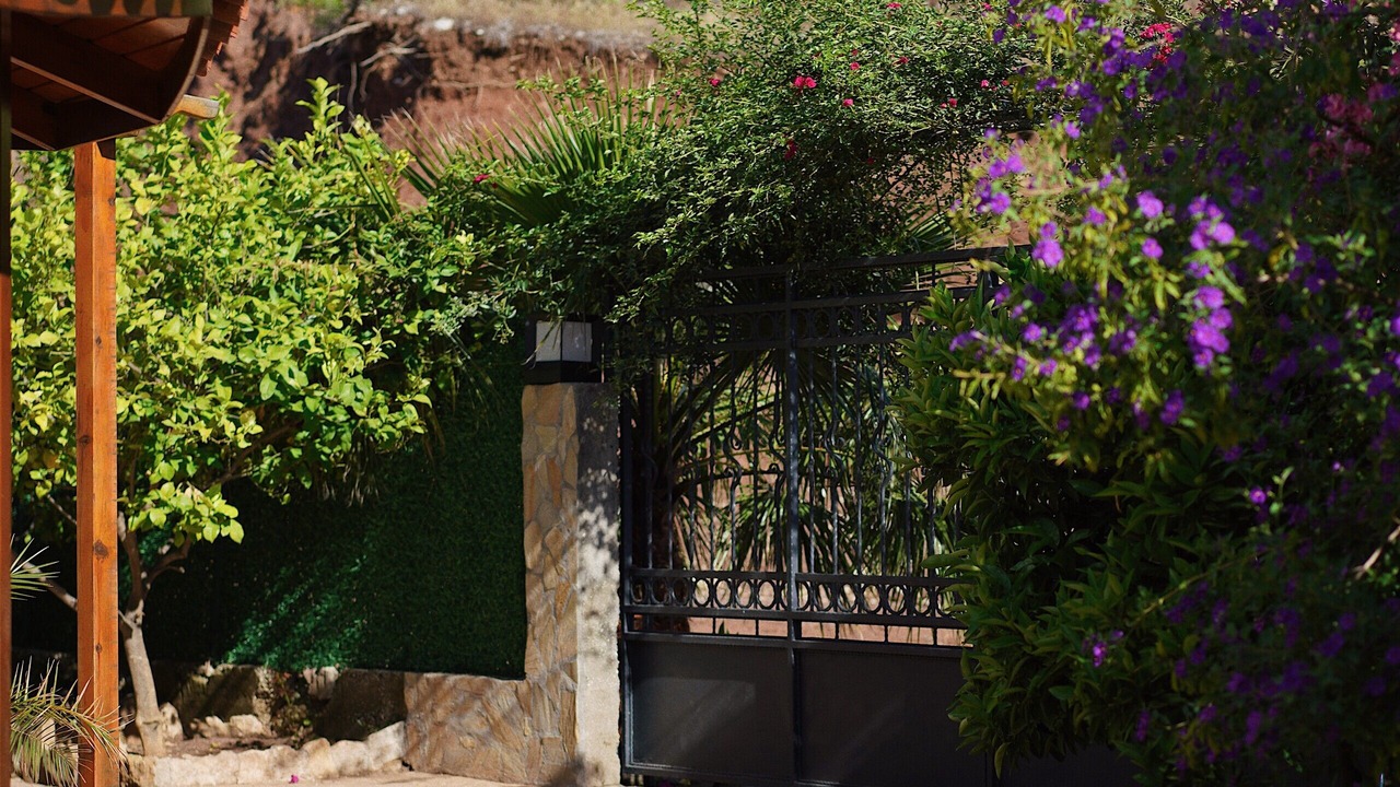 Photo of Outdoor in Cavuskoy
