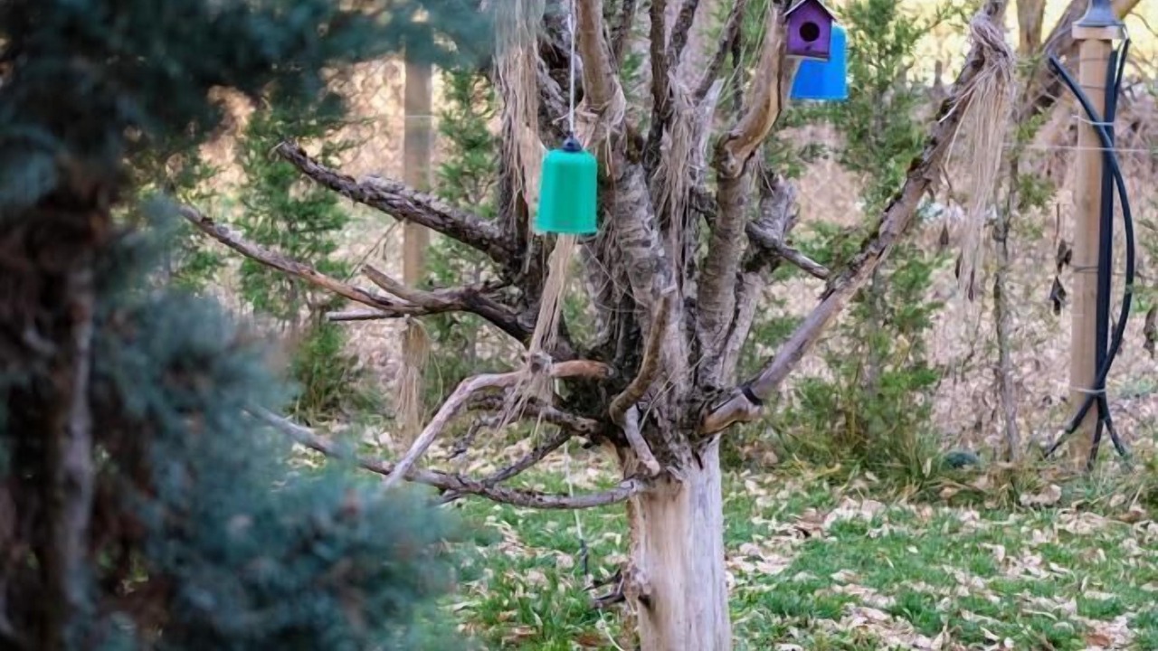 Photo of Outdoor in Bolu