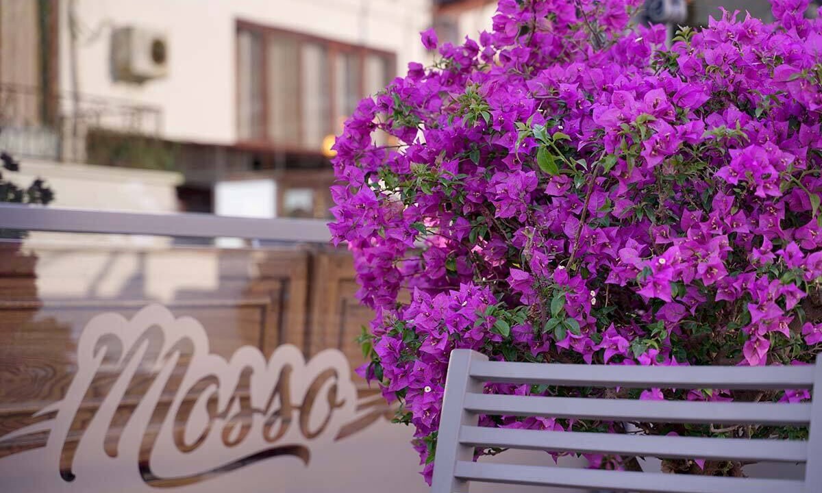 Photo of Outdoor in Akyaka City Center