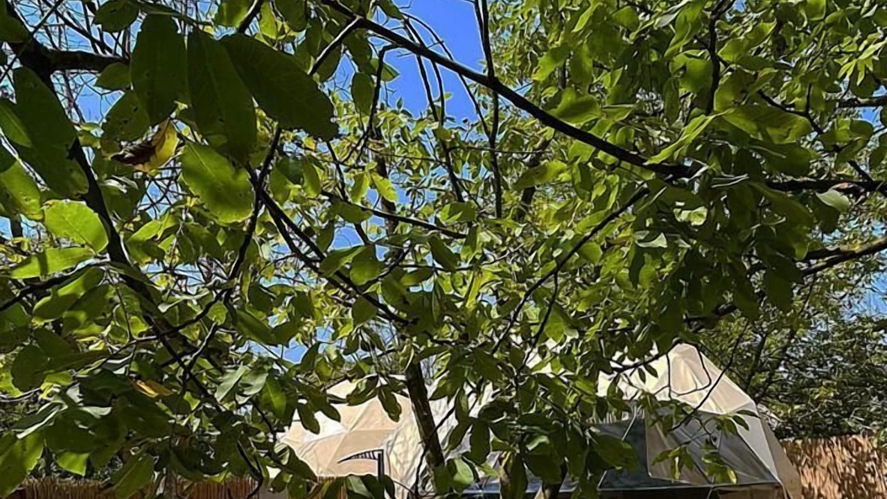 Photo of Outdoor in Yanik