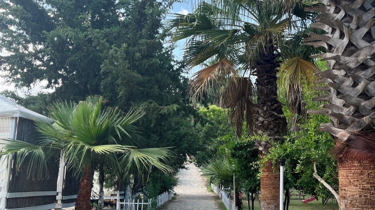 Photo of Outdoor in Olympos