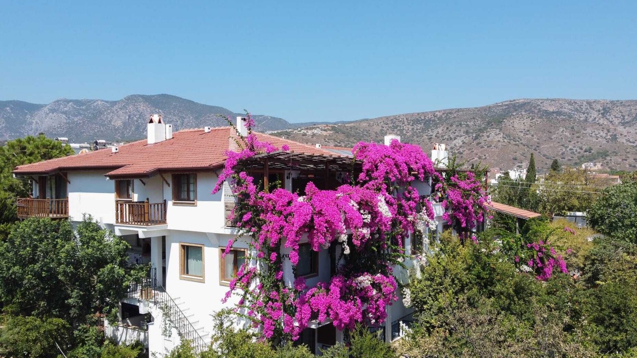 Photo of Outdoor in Datca