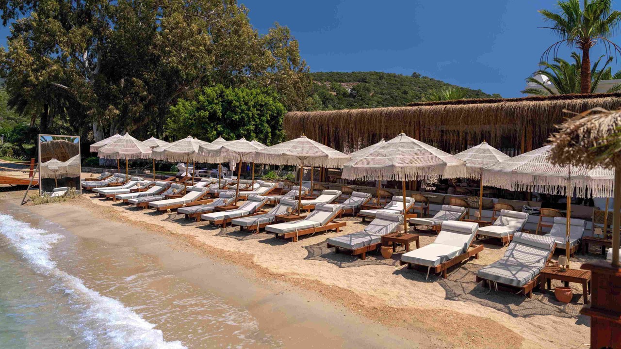 Photo of Others in Torba